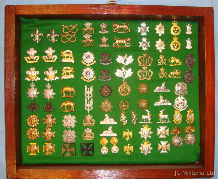A Nice Wall Hang able Display Cabinet of over 40 Pairs of British Army Collar Do A Nice Wall Hang able Display Cabinet of over 40 Pairs of British Army Collar Do Antique & Militaria in 