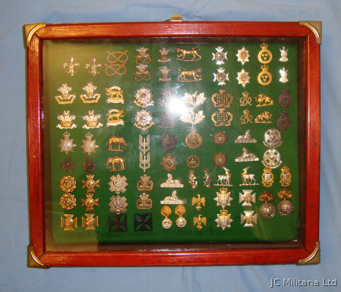 A Nice Wall Hang able Display Cabinet of over 40 Pairs of British Army Collar Do A Nice Wall Hang able Display Cabinet of over 40 Pairs of British Army Collar Do Antique & Militaria