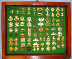 A Nice Wall Hang able Display Cabinet of over 40 Pairs of British Army Collar Do A Nice Wall Hang able Display Cabinet of over 40 Pairs of British Army Collar Do Antique & Militaria
