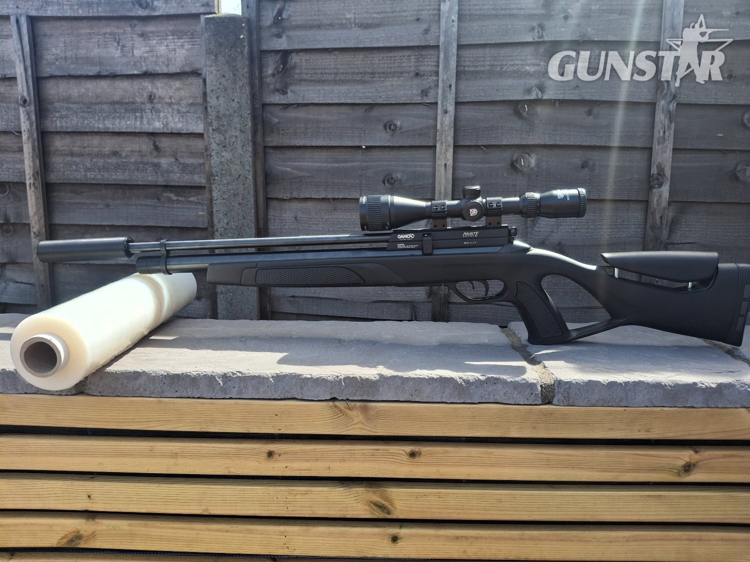 Gamo GAMO  .22 in 