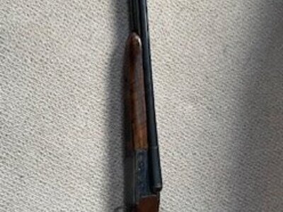 BSA 12 gauge Side By Side 12 Bore/gauge