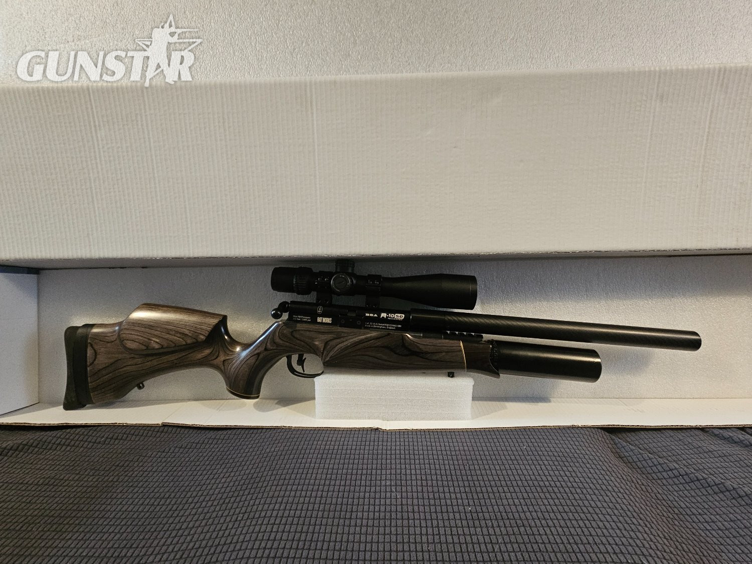 BSA R10 SE .22 in 