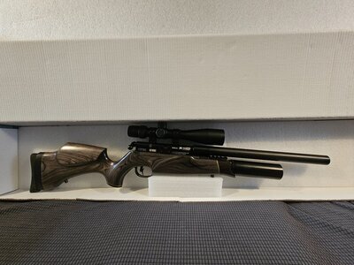 BSA R10 SE .22