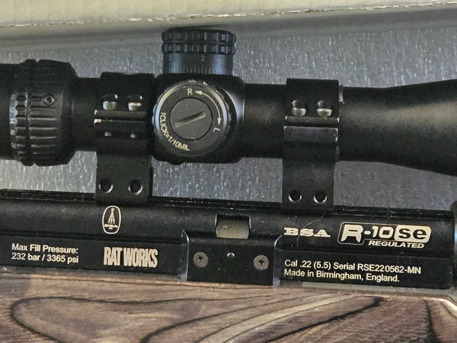 BSA R10 SE .22