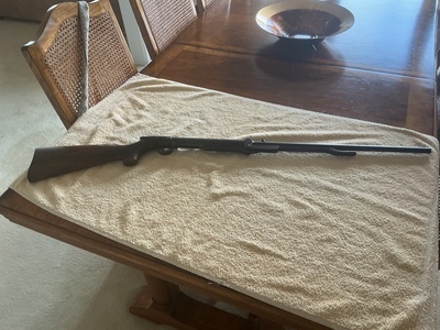 BSA Improved Model D .177