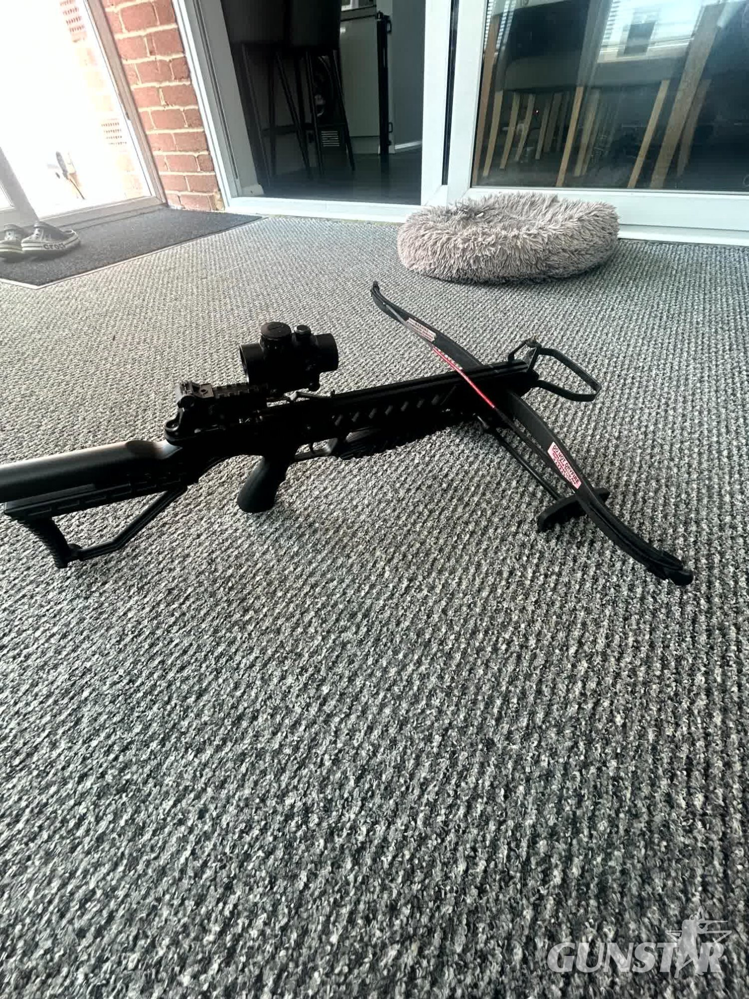 Anglo Arms Panther  Crossbows and Bows - {CATEGORY} in 