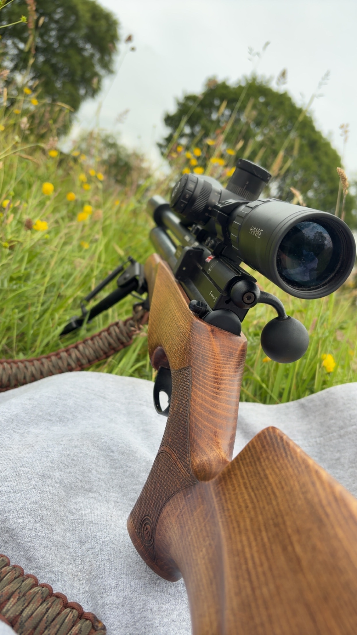  BSA Ultra SE Multishot .177