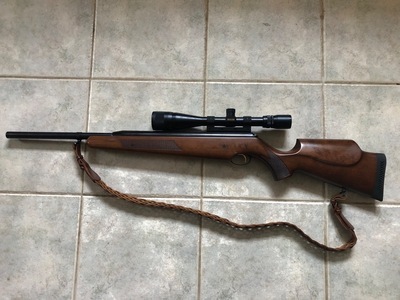 Air Arms Pro Sport .22