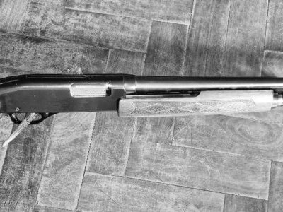 Winchester Winchester Pump Action 20 Bore/gauge