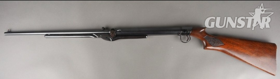 BSA Standard .22 in 