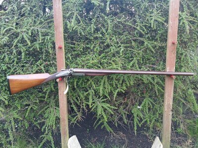 Isaac Hollis & Sons hammer Side By Side 12 Bore/gauge