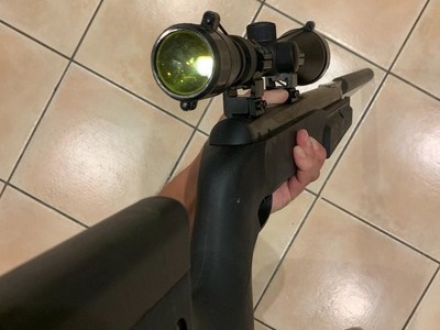 Remington ThunderCeptor - .22 Air Rifle .22
