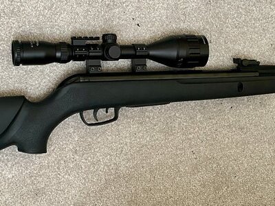 Gamo Whisper Sting .177
