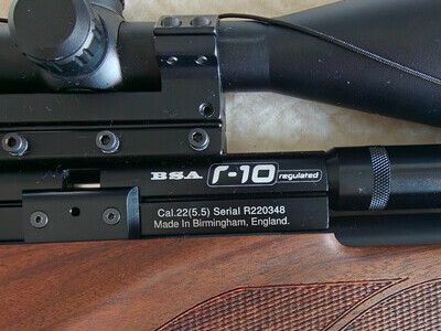 BSA R10 .22