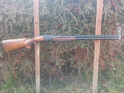 Fausti Stefano S.R.L. XF4 SPORT Over and Under 12 Bore/gauge