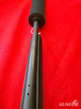  Remington 700 Bolt Action .22-250 Remington Rifle