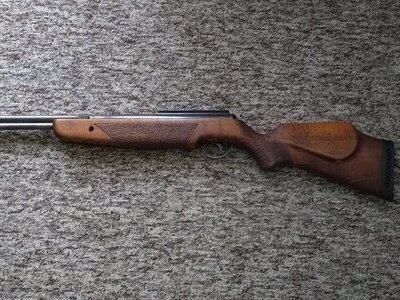 BSA Superstar .22