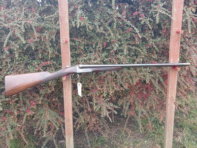 H. E. Akrill boxlock ejector Side By Side 16 Bore/gauge