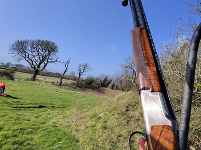 Browning XS Pro  Over and Under 12 Bore/gauge