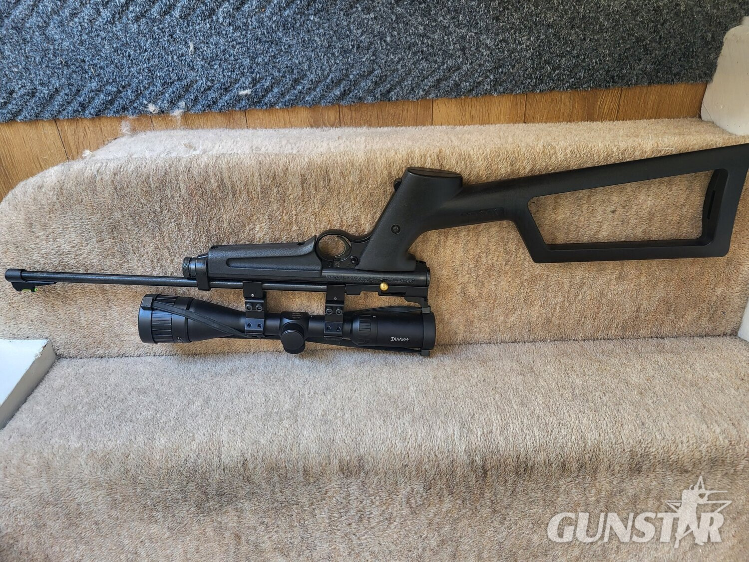 Crosman Ratcatcer .22