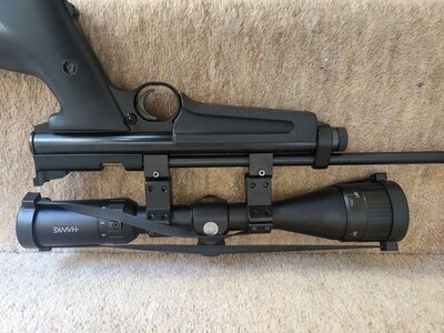 Crosman Ratcatcer .22