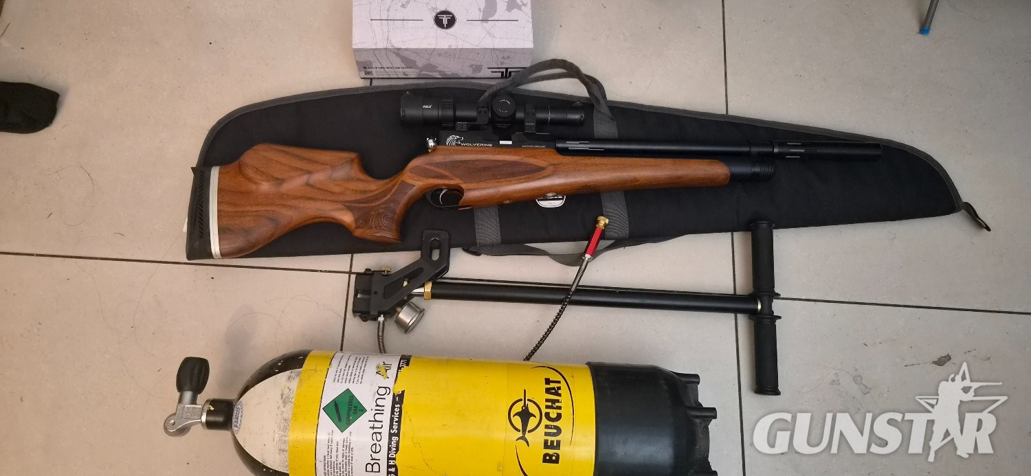 Daystate Wolverine 303 .177 in 