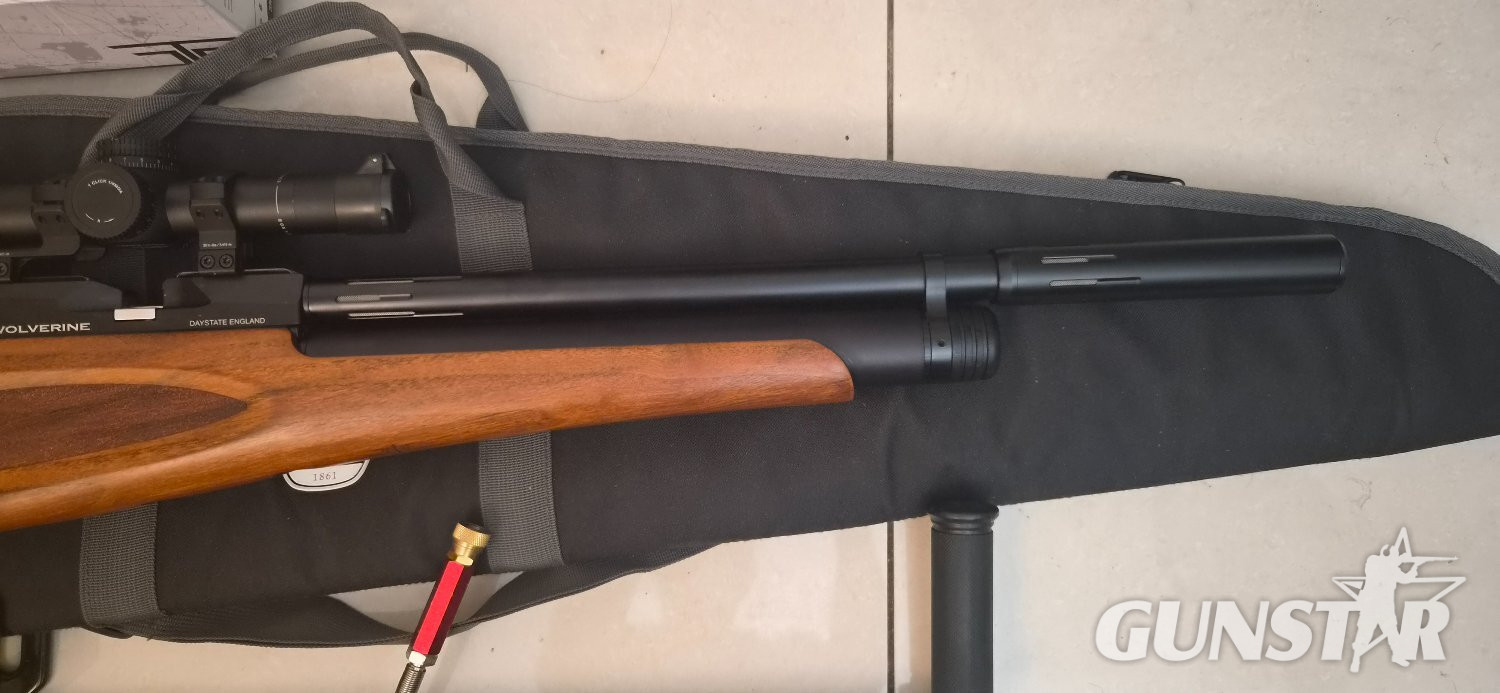 Daystate Wolverine 303 .177