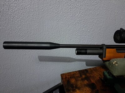 Air Arms S200 .22