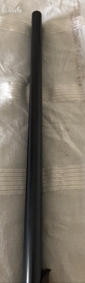  Baikal and unknown side by side Side By Side 12 Bore/gauge