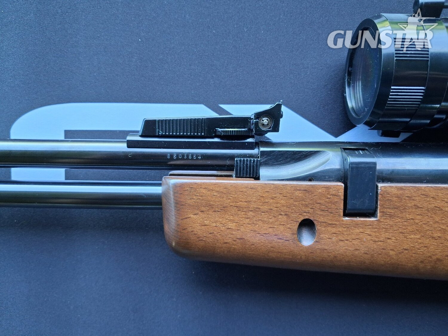 BSA Goldstar .22 in 