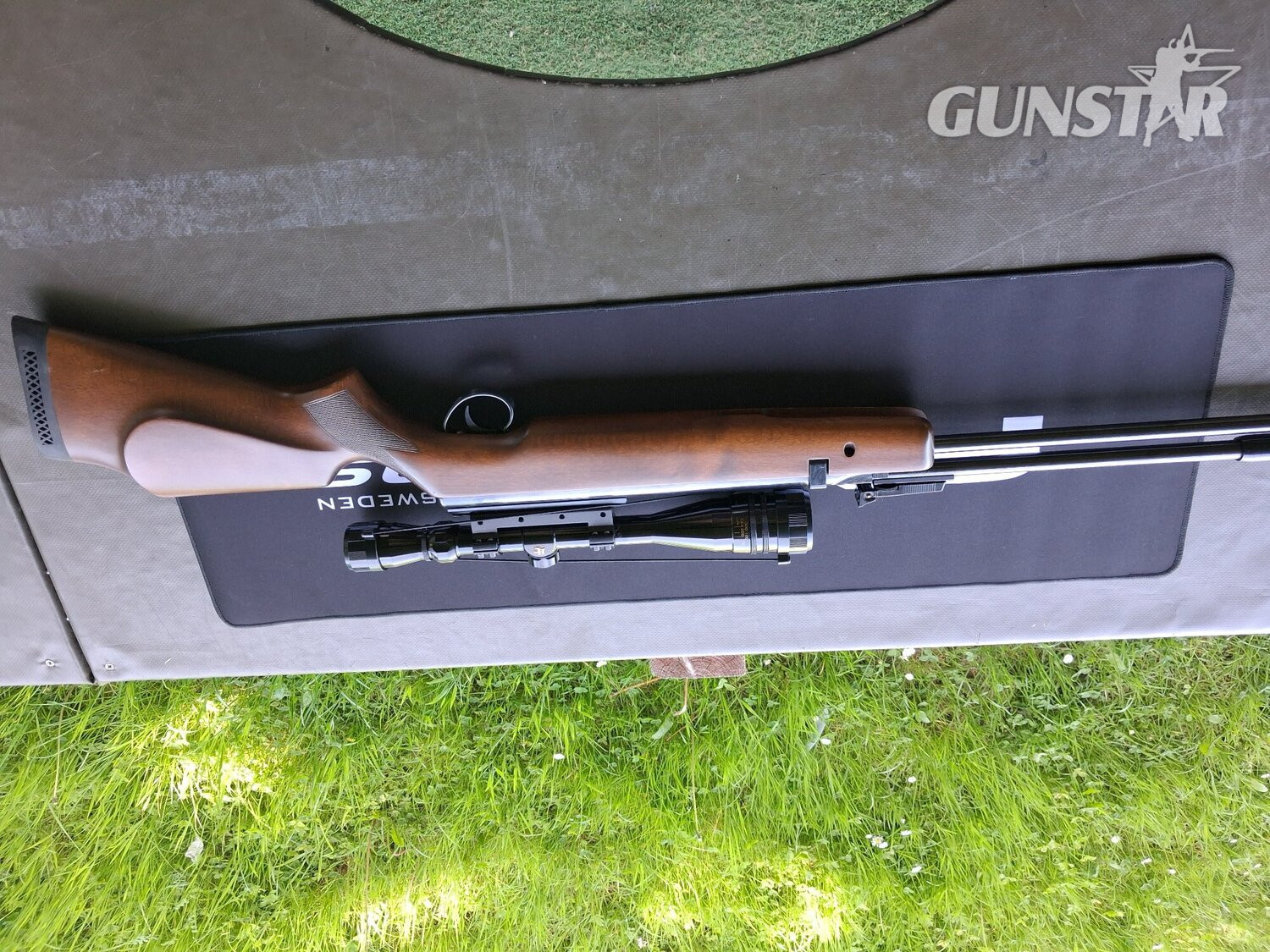 BSA Goldstar .22