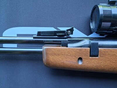 BSA Goldstar .22