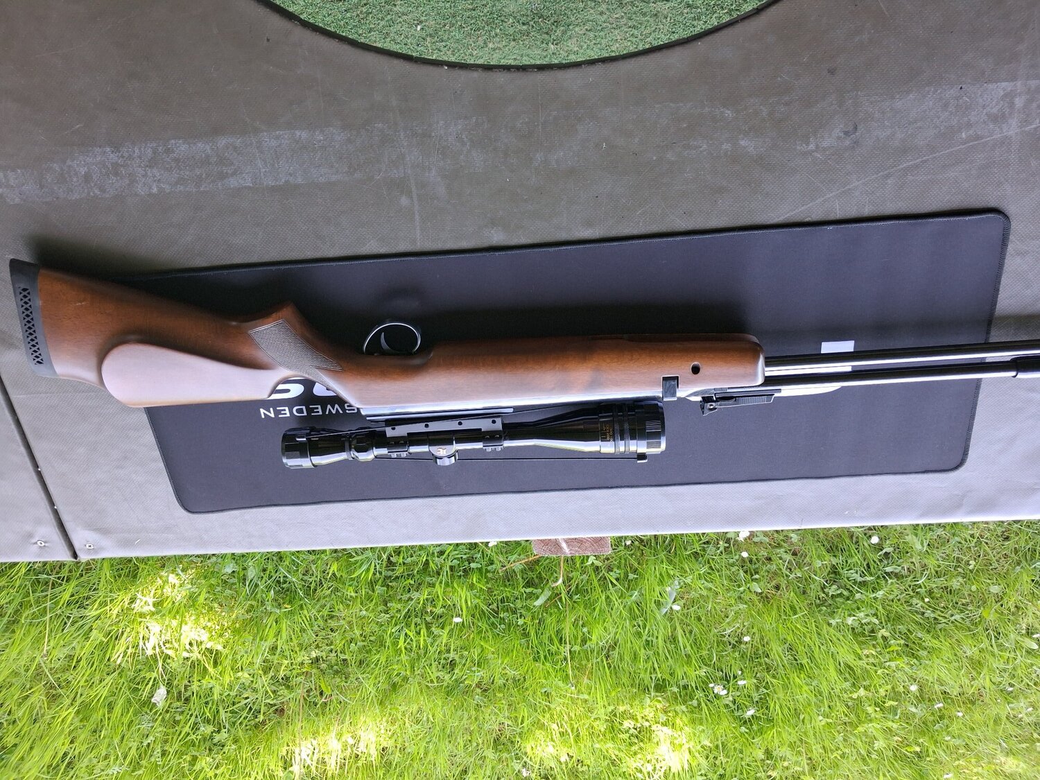 BSA Goldstar .22