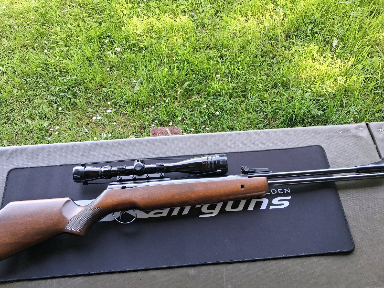  BSA Goldstar .22