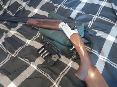 KOFS 28 guage Kofs Sceptre, only fired 100 rounds, 13 7/8 length of pull, multi choke, 28in barrel, would suit small or young person Over and Under 28 Bore/gauge
