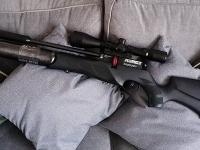 BSA R12 clx take down  .22