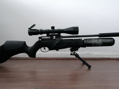 BSA R12 clx take down  .22