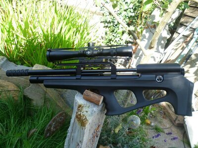 FX Airguns Wildcat .177
