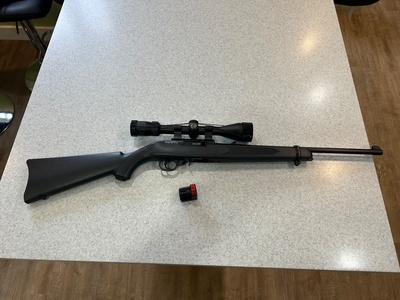 Umarex Umarex ruger 10/22 Air Rifle .177