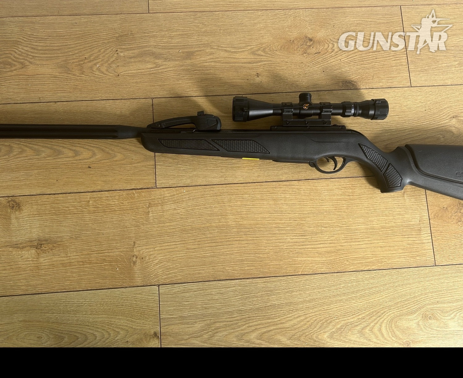Gamo Gamo .22 in 