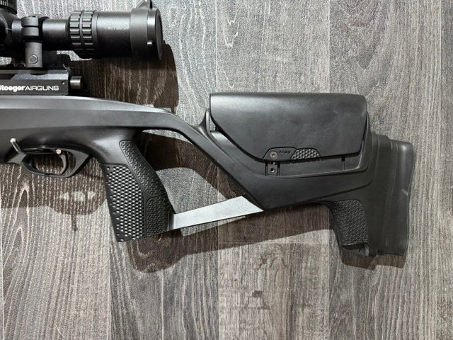 Stoeger Scout .22 