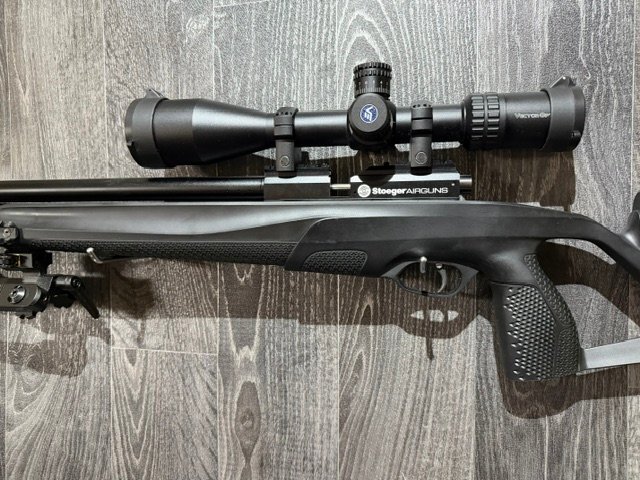 {CATEGORY} - Stoeger Scout .22 in 