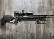 Stoeger Scout .22