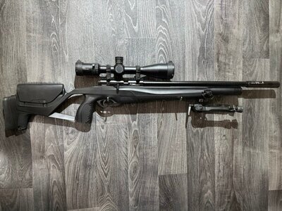 Stoeger Scout .22