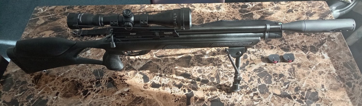 Gamo Phox .22