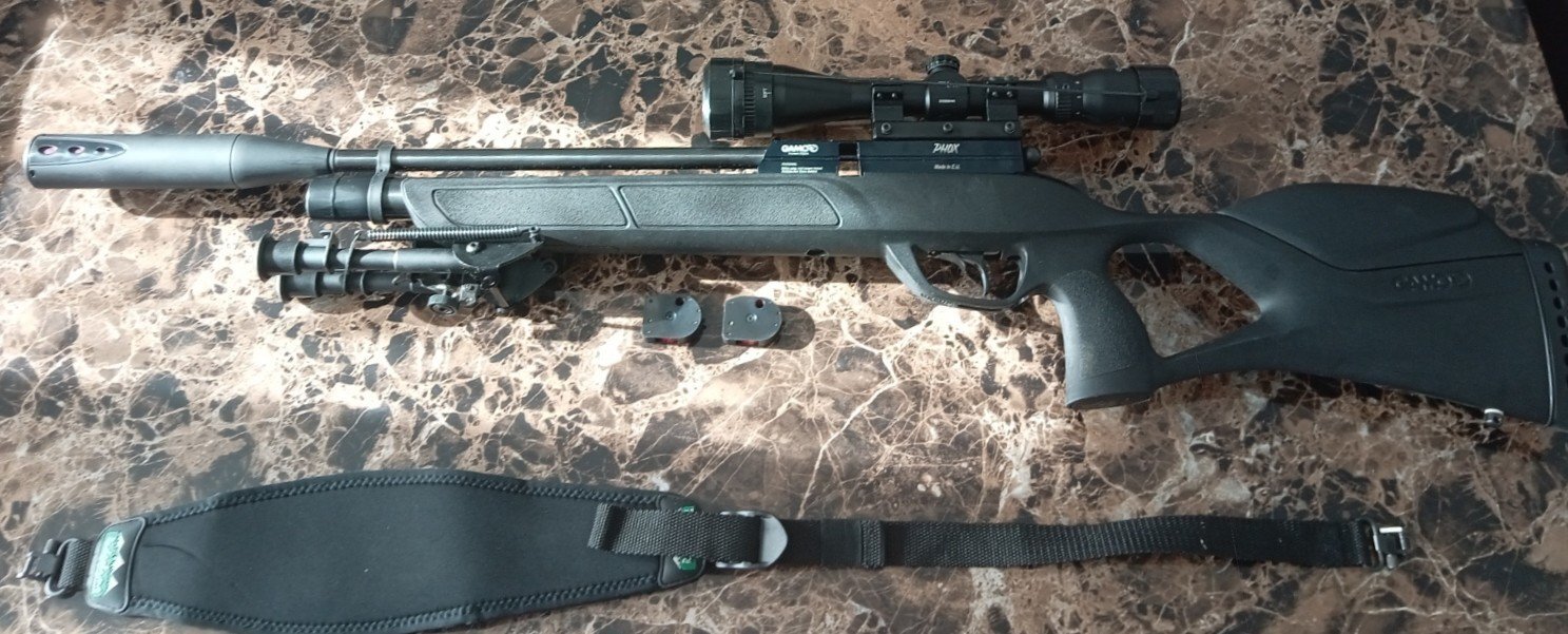  Gamo Phox .22
