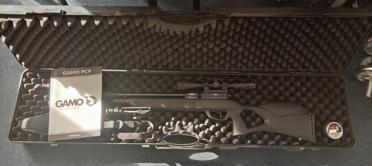 {CATEGORY} - Gamo Phox .22 in 