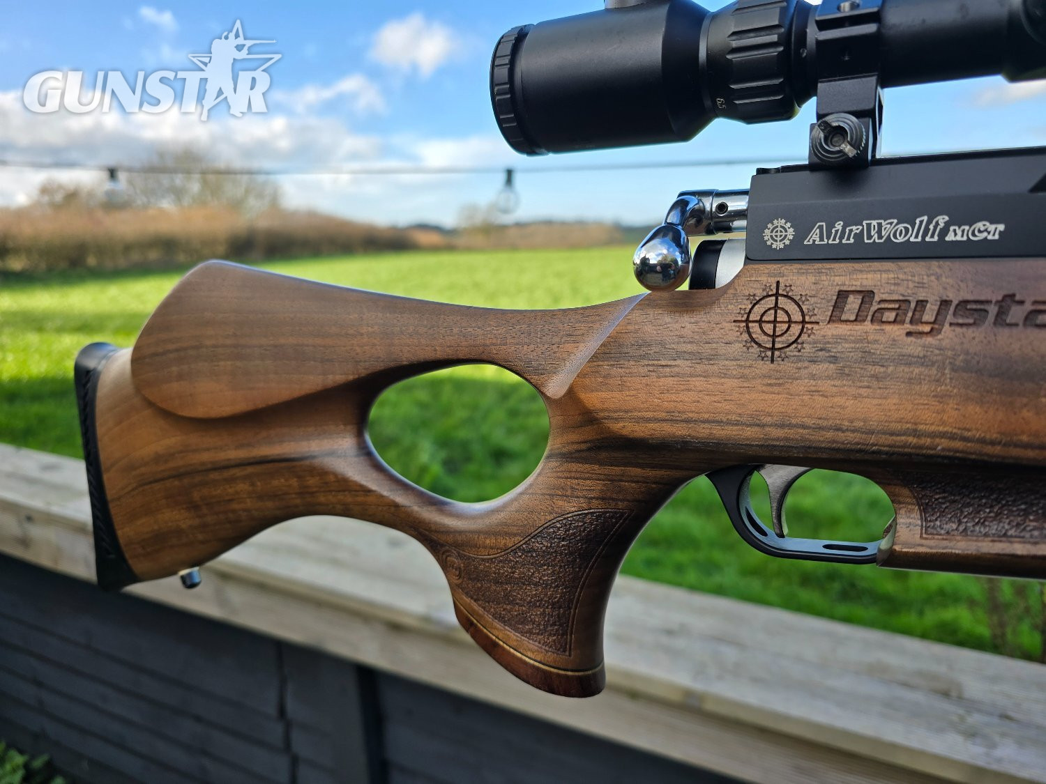  Daystate Air Wolf FAC .22
