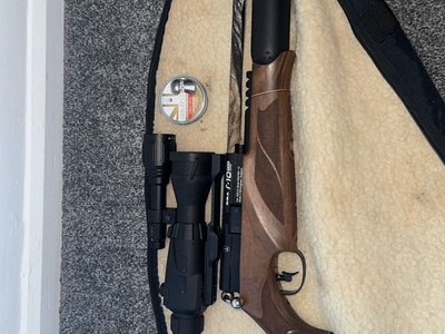 BSA R10 MK2 .22