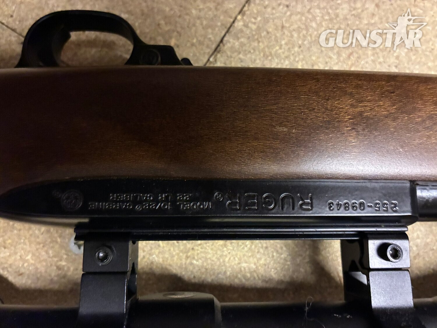 Ruger 10/22 Semi-Auto .22 Rifle